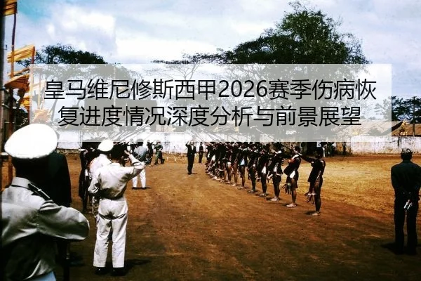 皇马维尼修斯西甲2026赛季伤病恢复进度情况深度分析与前景展望