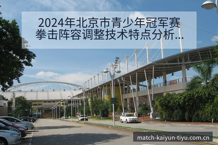 2024年北京市青少年冠军赛拳击阵容调整技术特点分析 - 开云app
